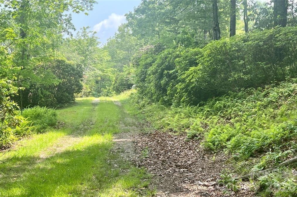 Lot 10 Joshua Road Rosman NC 28772