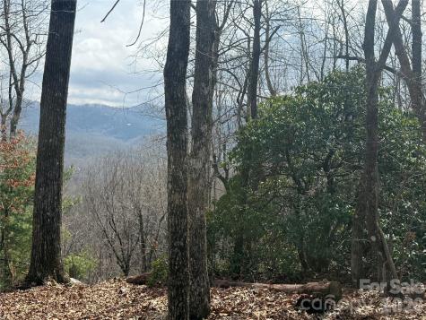Lot 10 Joshua Road Rosman NC 28772