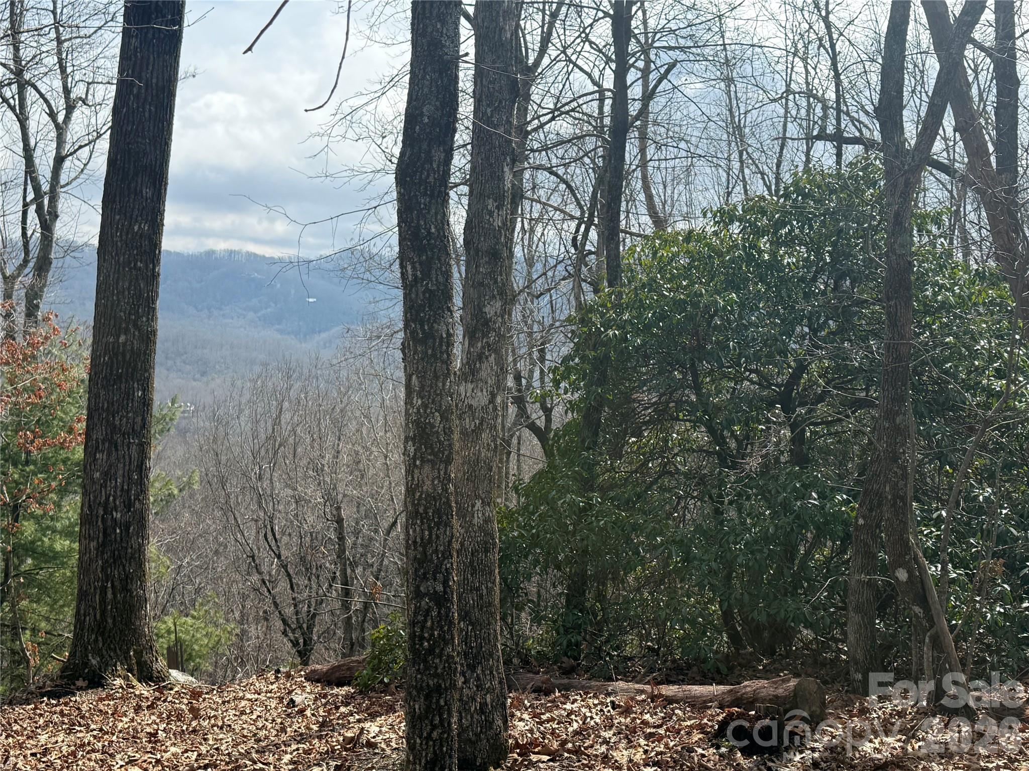 Lot 10 Joshua Road Rosman NC 28772
