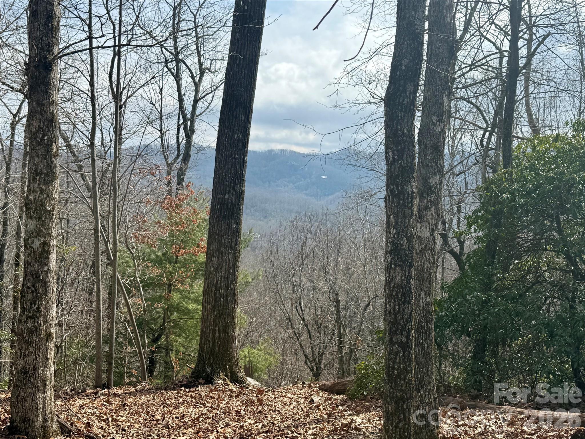 Lot 10 Joshua Road Rosman NC 28772