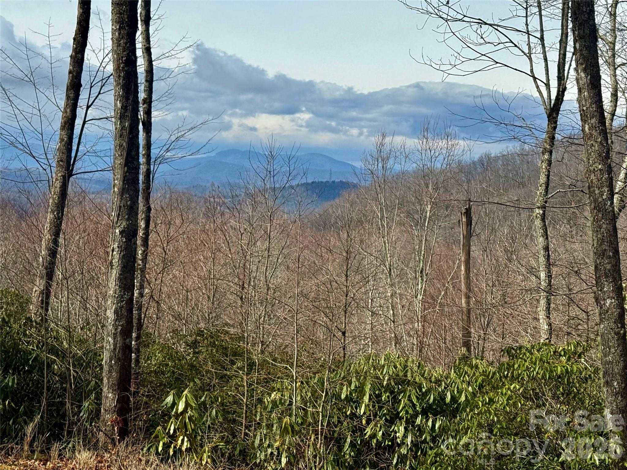 Lot 10 Joshua Road Rosman NC 28772