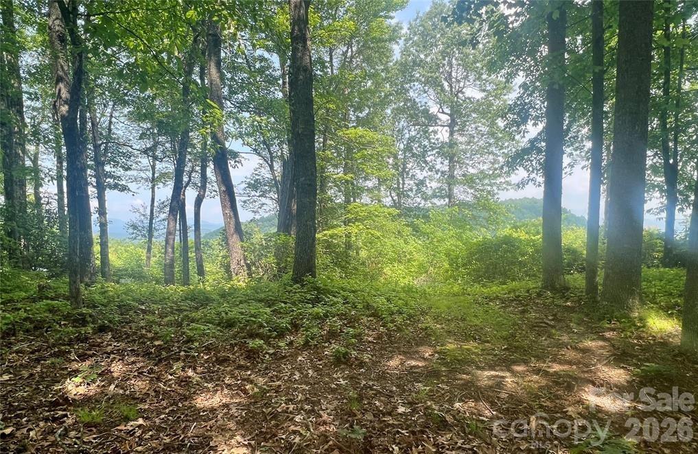Lot 10 Joshua Road Rosman NC 28772
