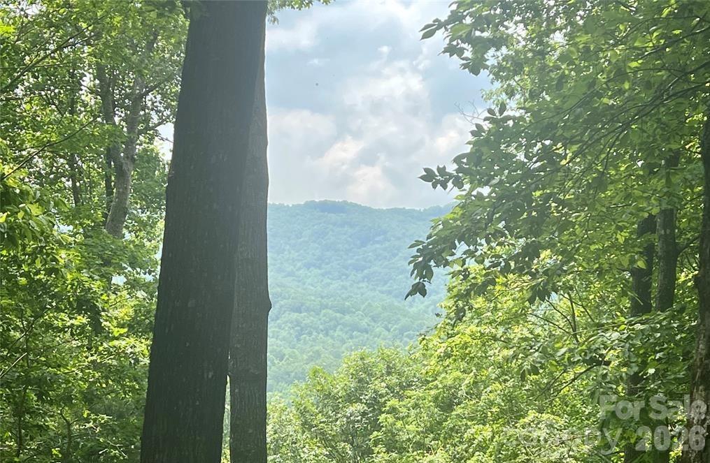 Lot 10 Joshua Road Rosman NC 28772