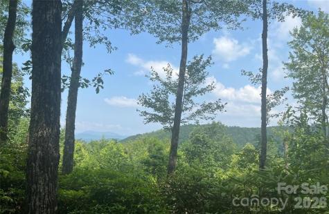 Lot 10 Joshua Road Rosman NC 28772