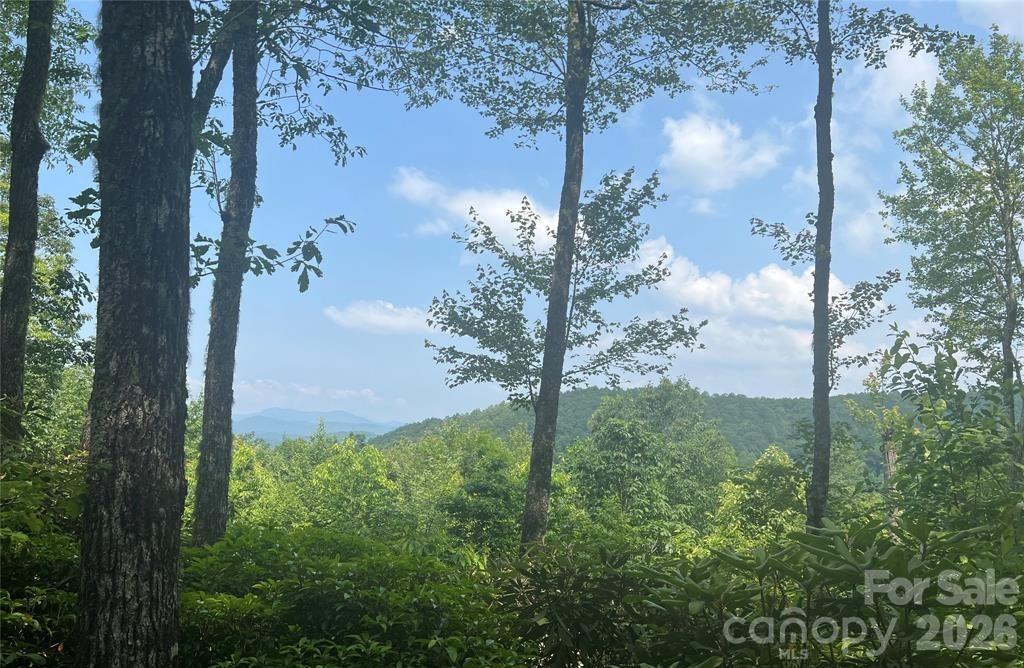 Lot 10 Joshua Road Rosman NC 28772
