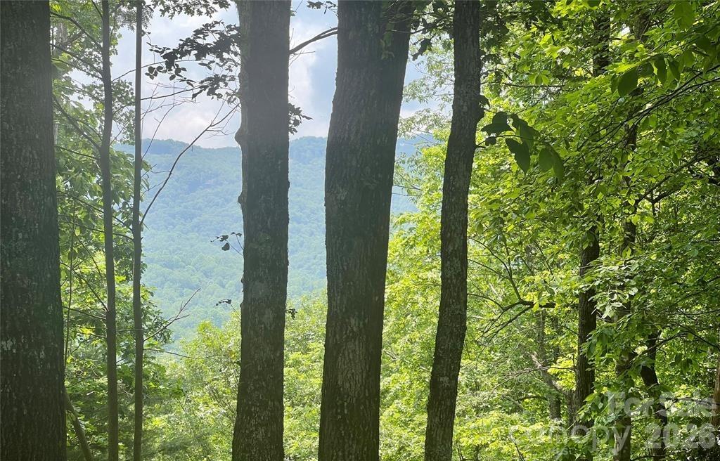 Lot 10 Joshua Road Rosman NC 28772