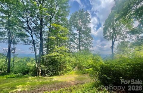 Lot 10 Joshua Road Rosman NC 28772