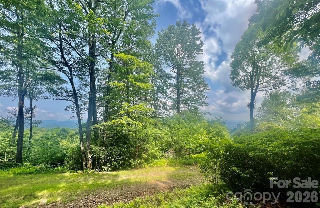 Lot 10 Joshua Road Rosman NC 28772