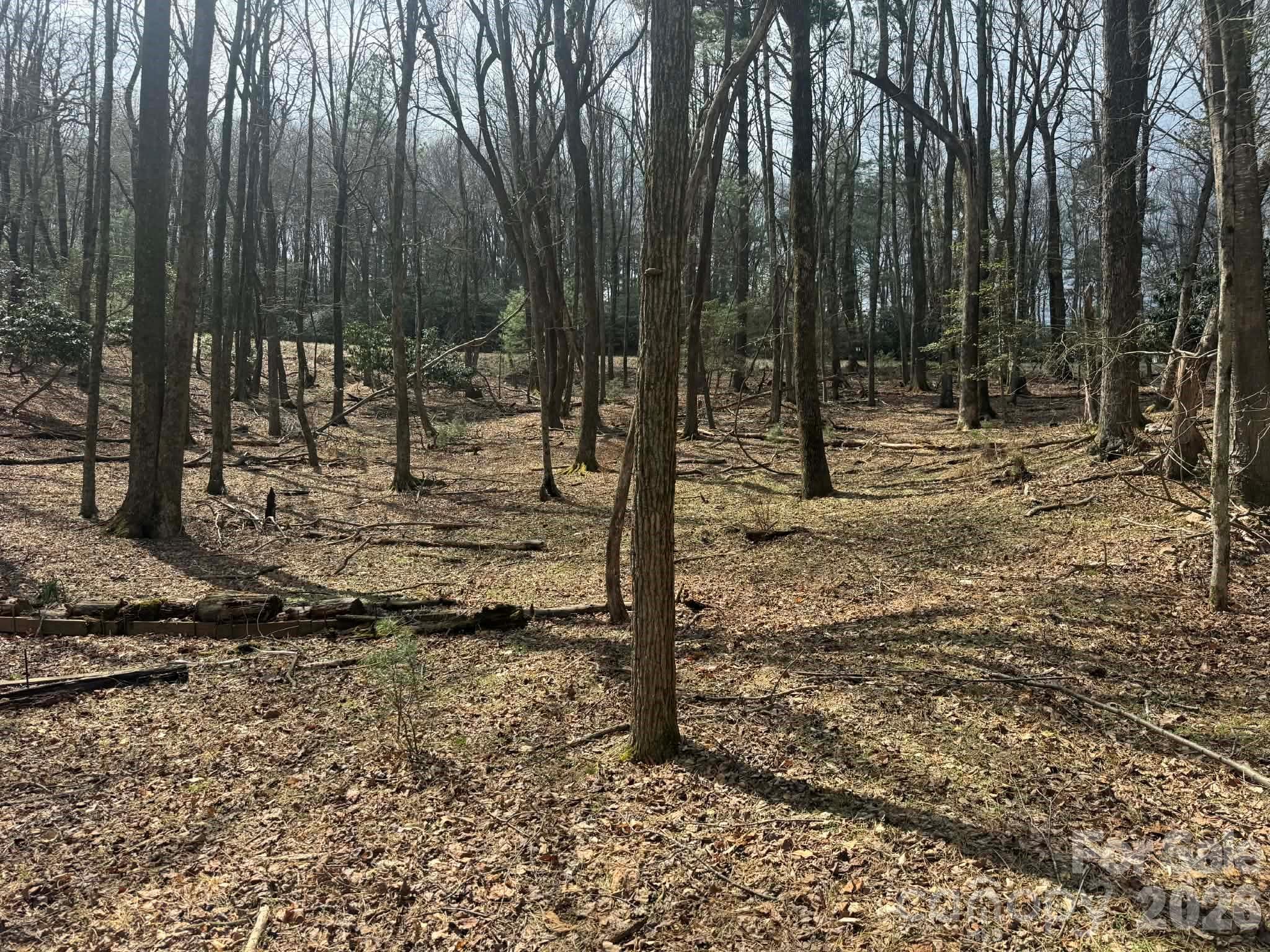 Tbd Ward Circle Drive Sparta NC 28675