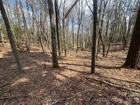 Tbd Ward Circle Drive Sparta NC 28675