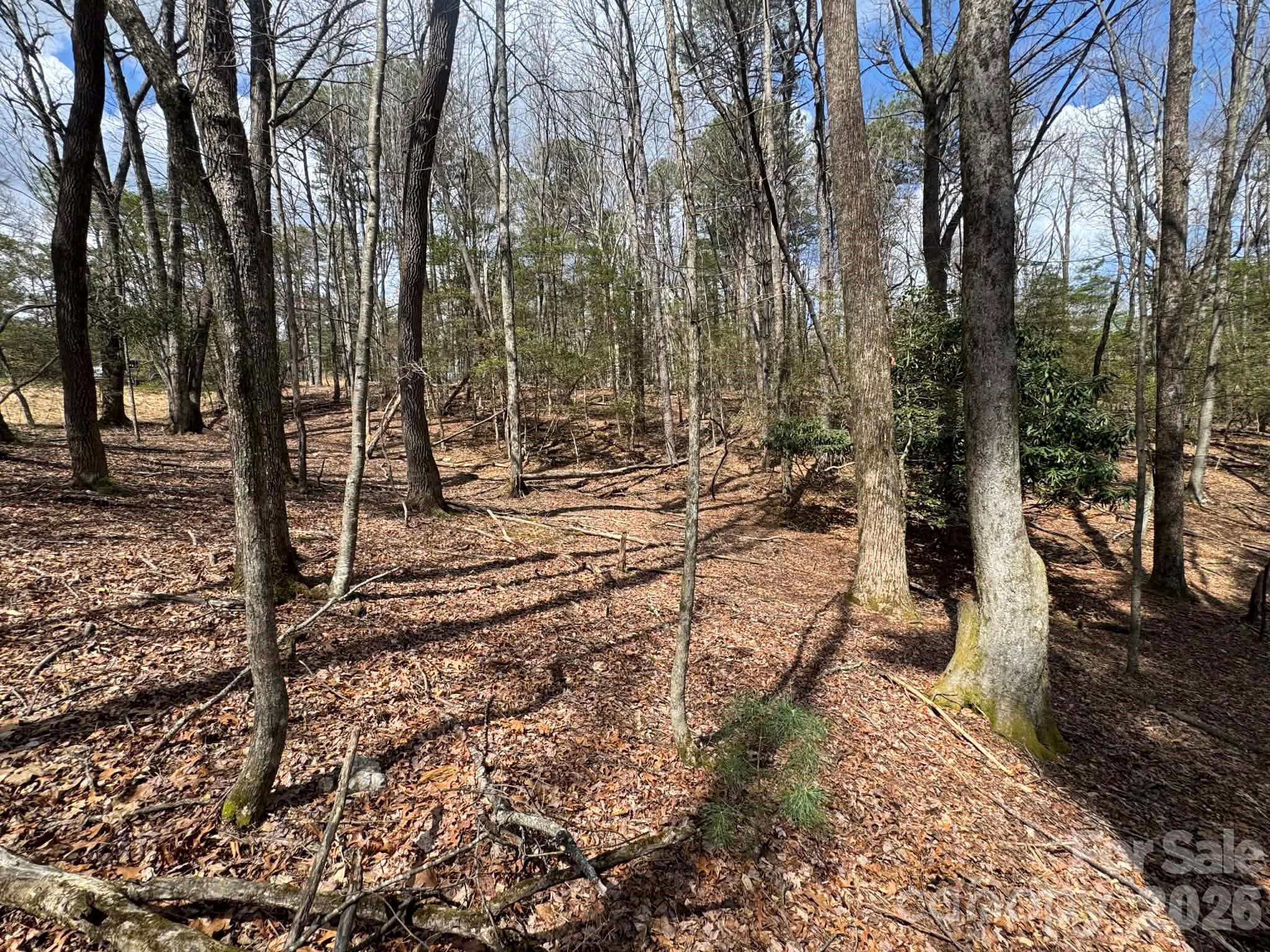 Tbd Ward Circle Drive Sparta NC 28675
