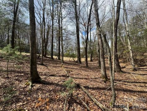 Tbd Ward Circle Drive Sparta NC 28675
