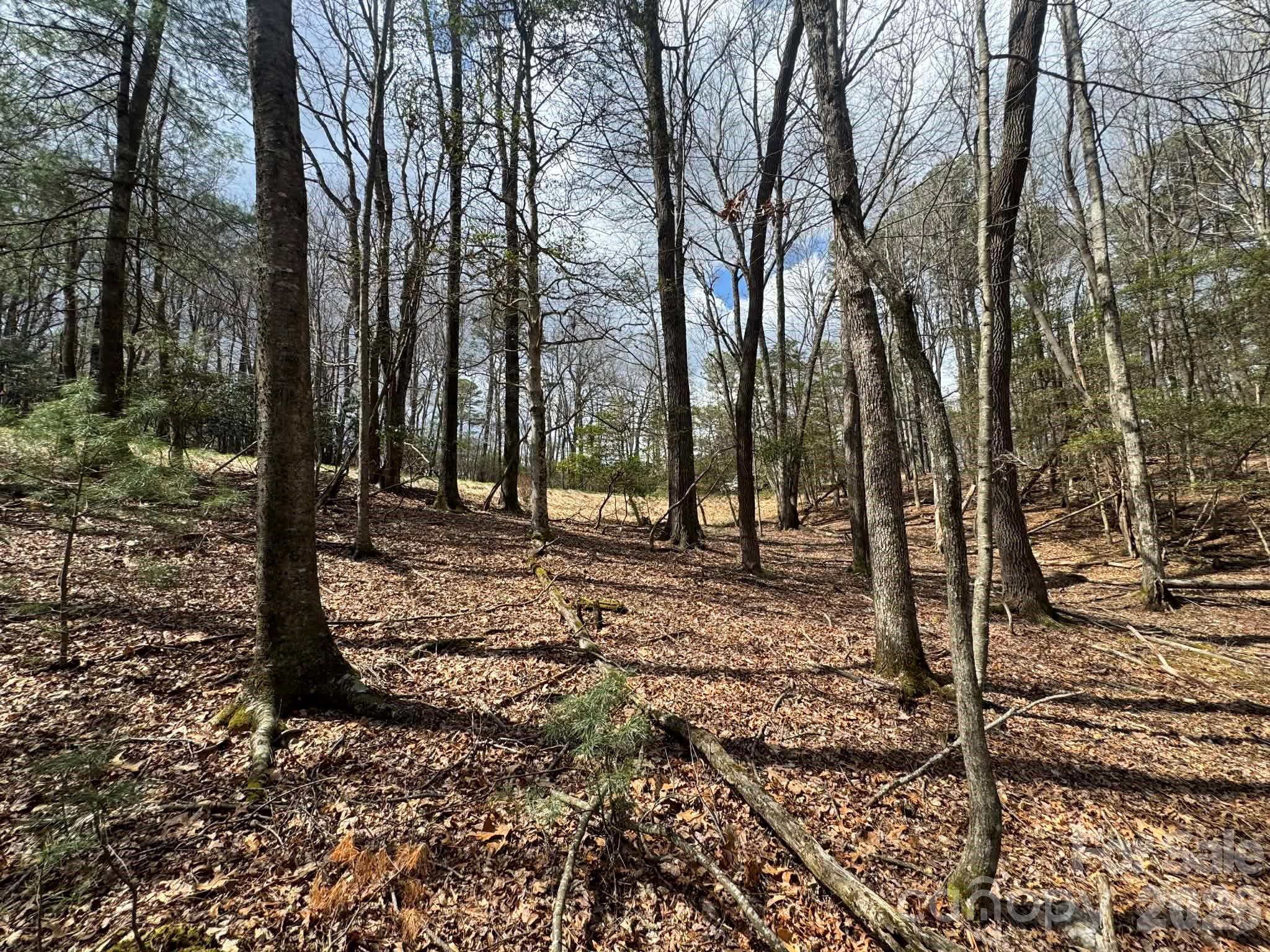 Tbd Ward Circle Drive Sparta NC 28675