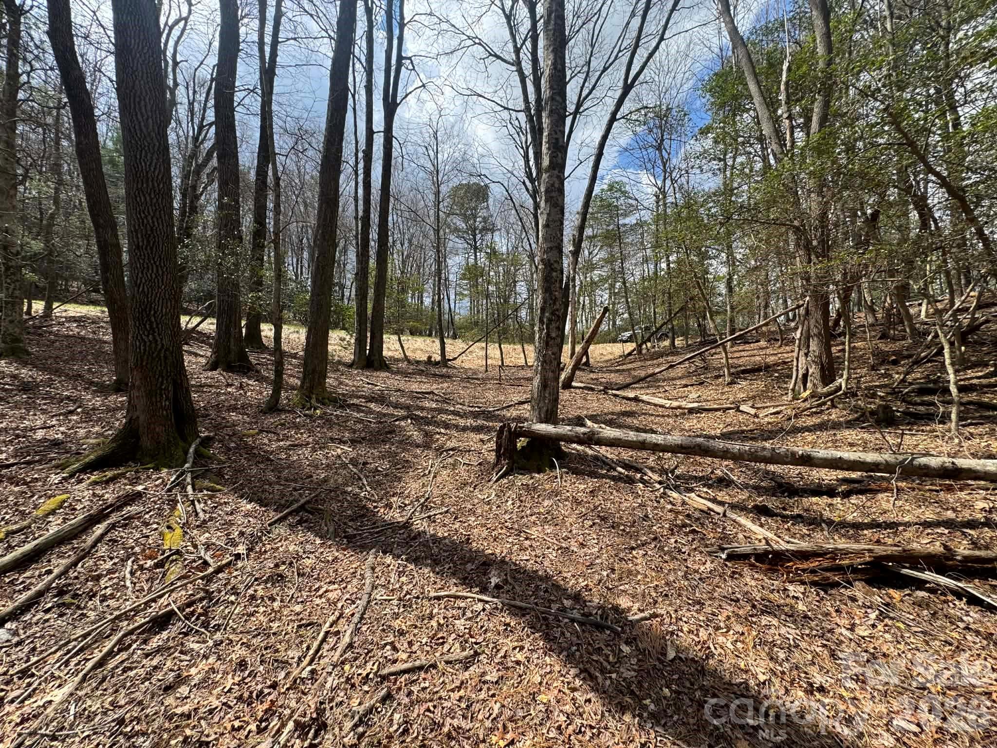 Tbd Ward Circle Drive Sparta NC 28675