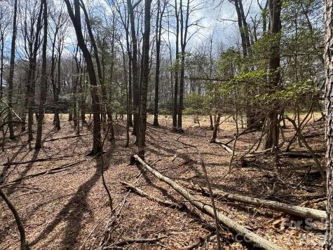 Tbd Ward Circle Drive Sparta NC 28675