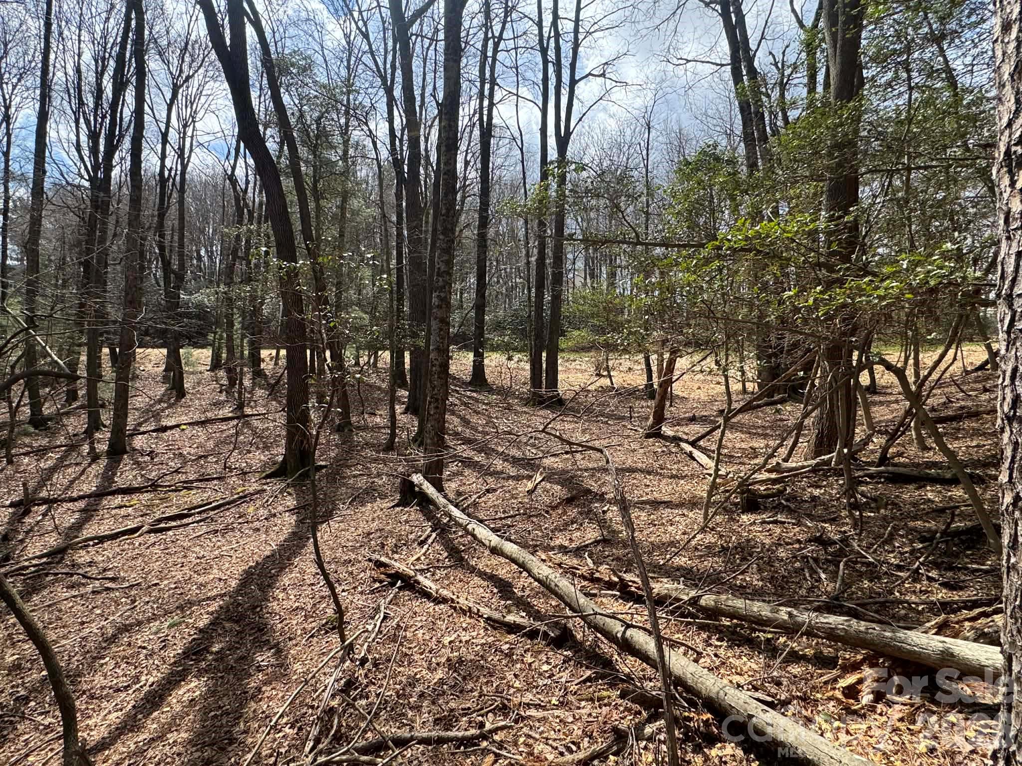 Tbd Ward Circle Drive Sparta NC 28675