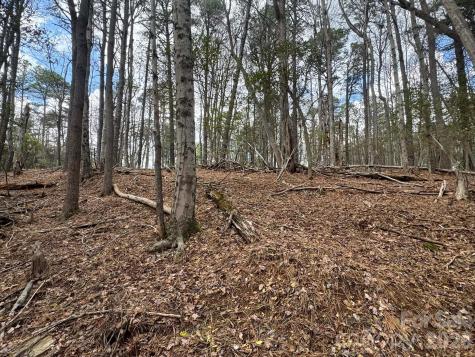 Tbd Ward Circle Drive Sparta NC 28675
