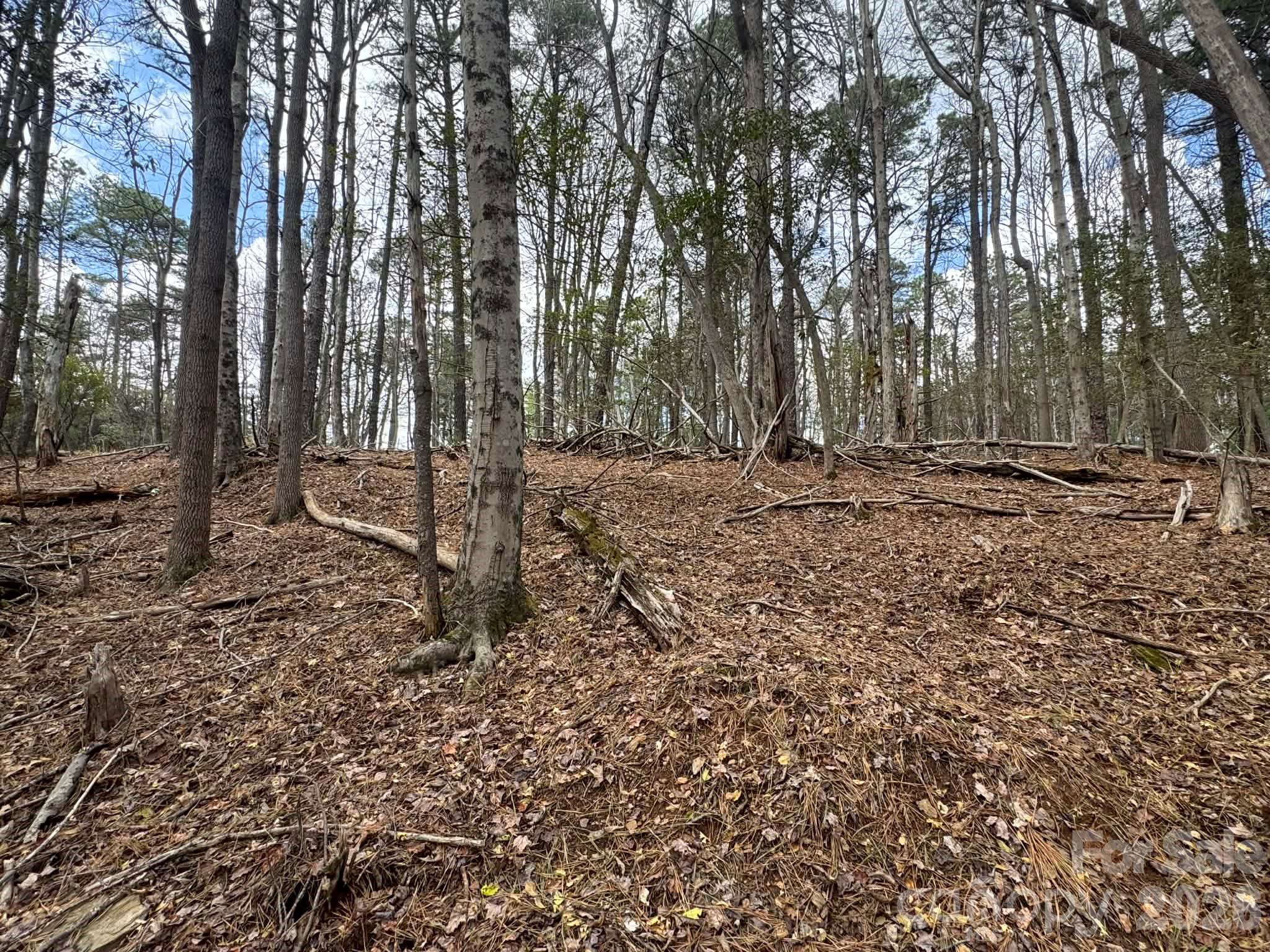 Tbd Ward Circle Drive Sparta NC 28675