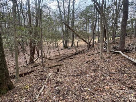 Tbd Ward Circle Drive Sparta NC 28675
