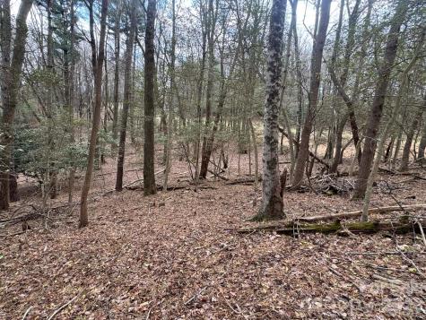 Tbd Ward Circle Drive Sparta NC 28675