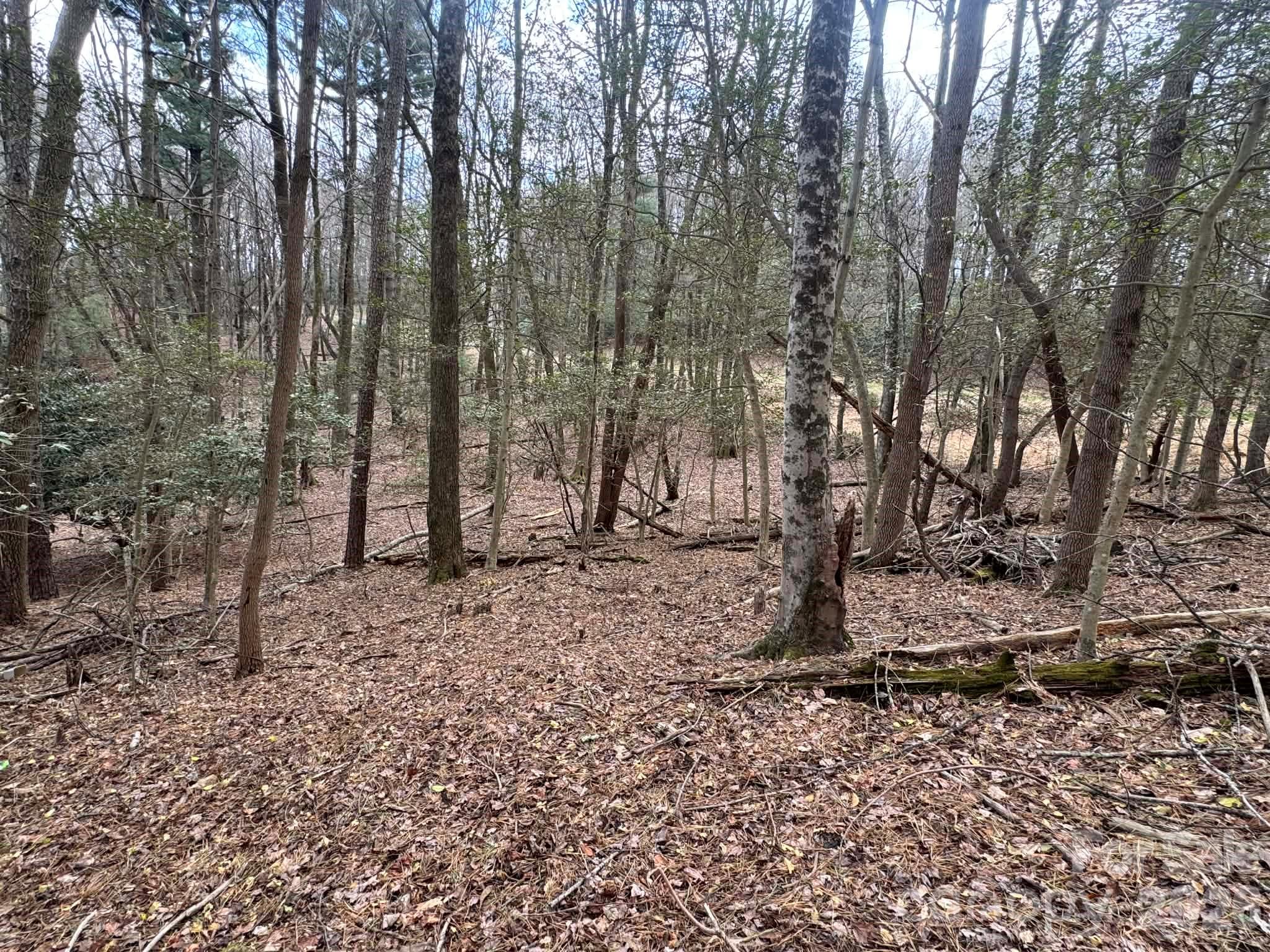 Tbd Ward Circle Drive Sparta NC 28675