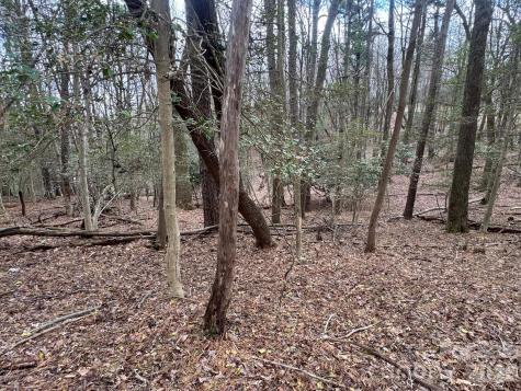 Tbd Ward Circle Drive Sparta NC 28675