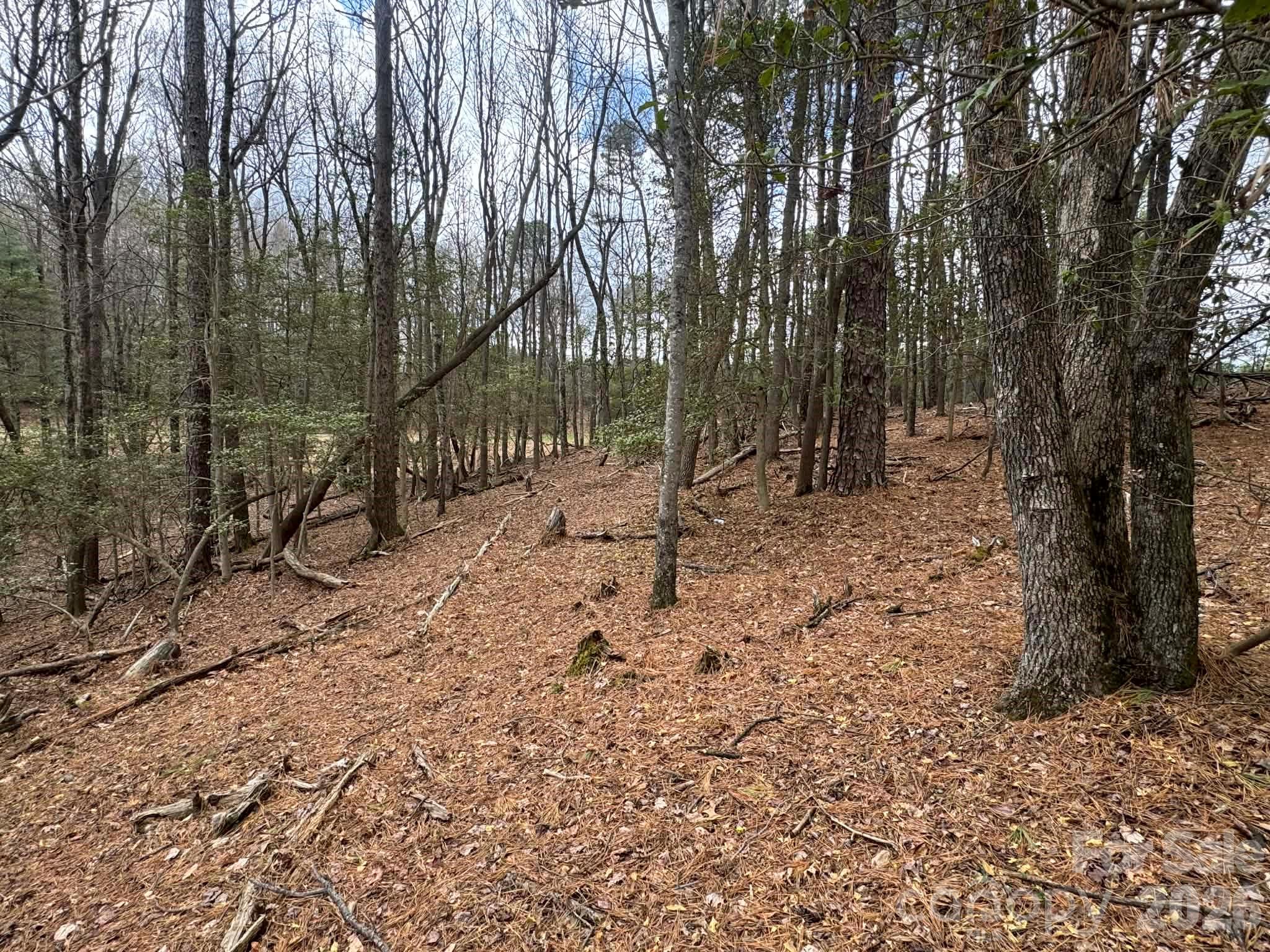 Tbd Ward Circle Drive Sparta NC 28675