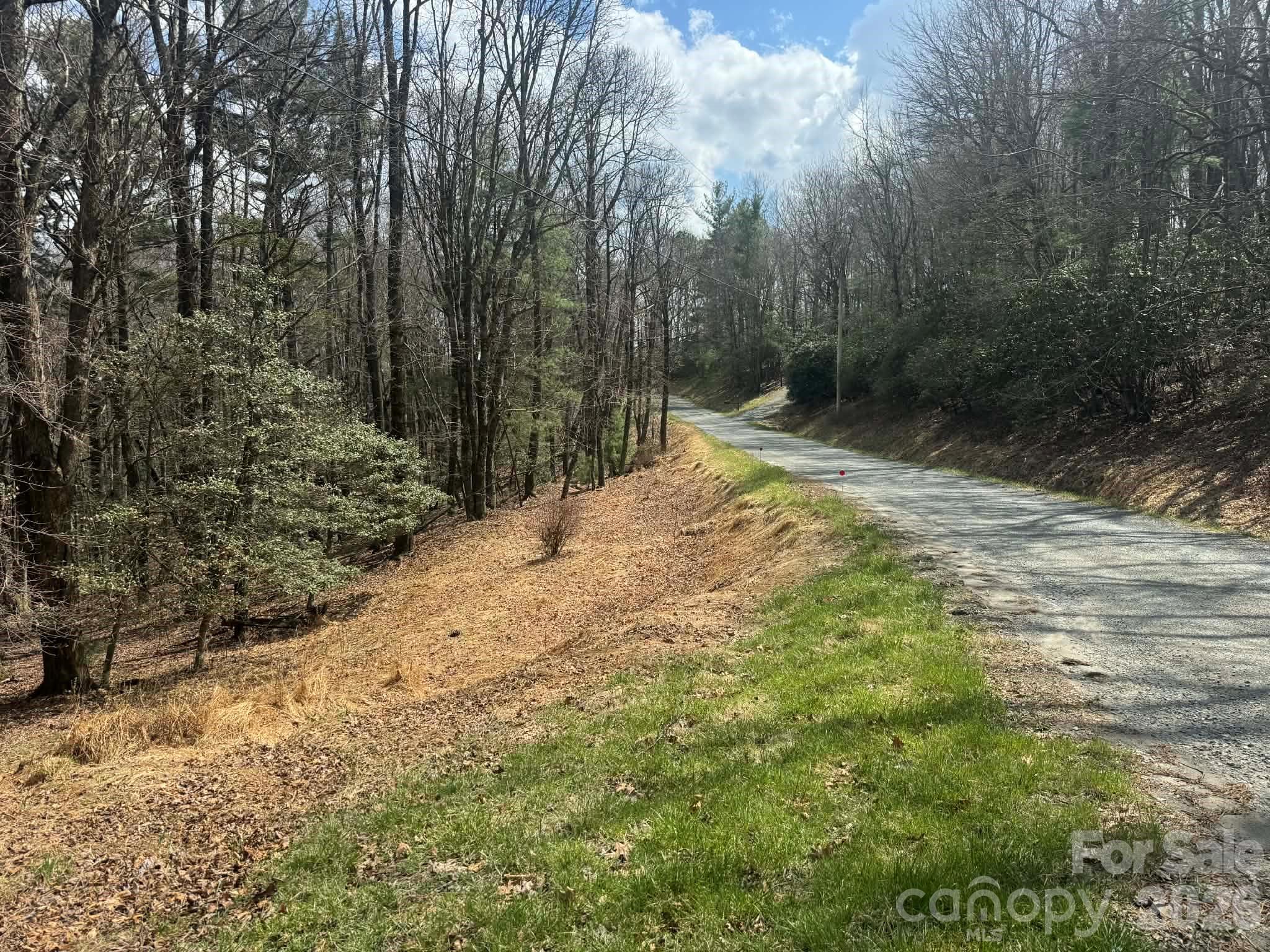 Tbd Ward Circle Drive Sparta NC 28675