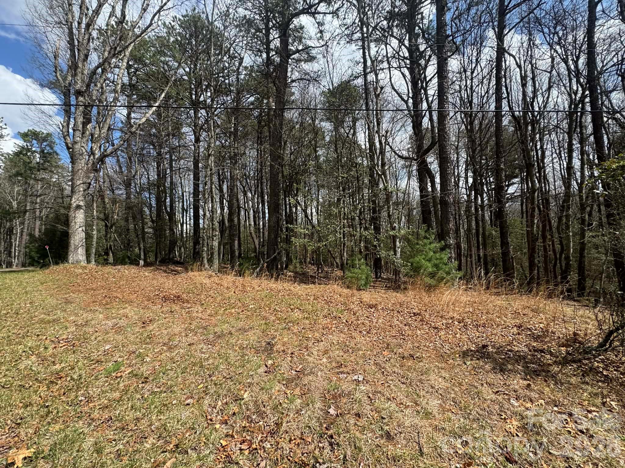 Tbd Ward Circle Drive Sparta NC 28675