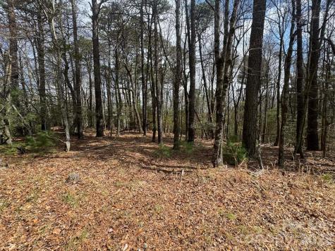 Tbd Ward Circle Drive Sparta NC 28675