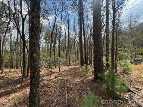 Tbd Ward Circle Drive Sparta NC 28675