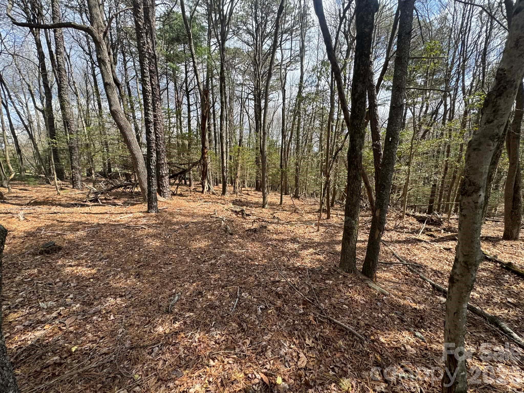 Tbd Ward Circle Drive Sparta NC 28675