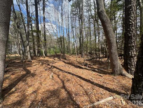 Tbd Ward Circle Drive Sparta NC 28675