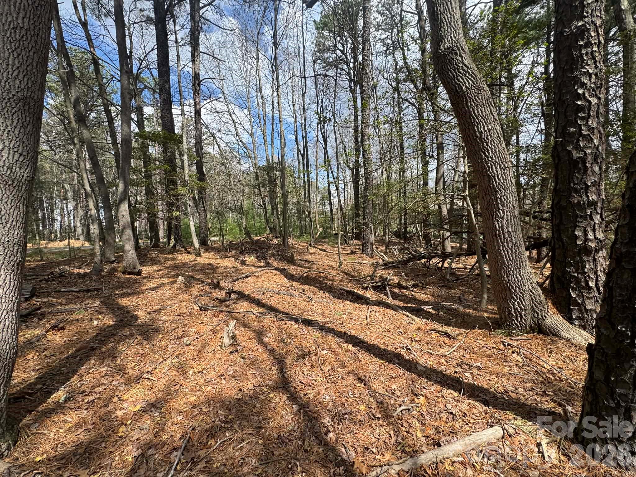 Tbd Ward Circle Drive Sparta NC 28675