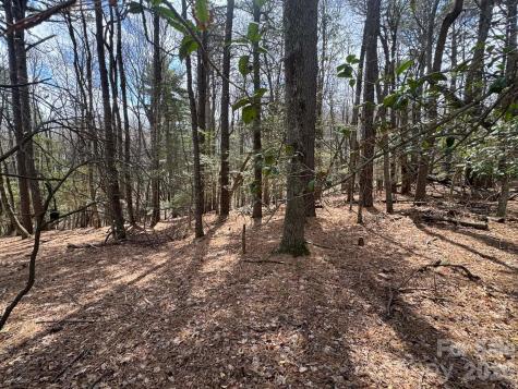 Tbd Ward Circle Drive Sparta NC 28675