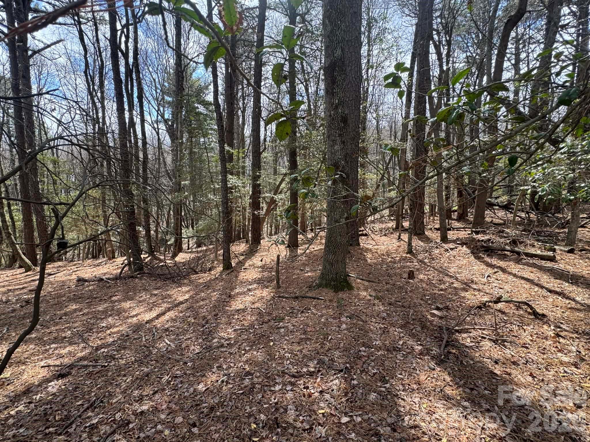 Tbd Ward Circle Drive Sparta NC 28675