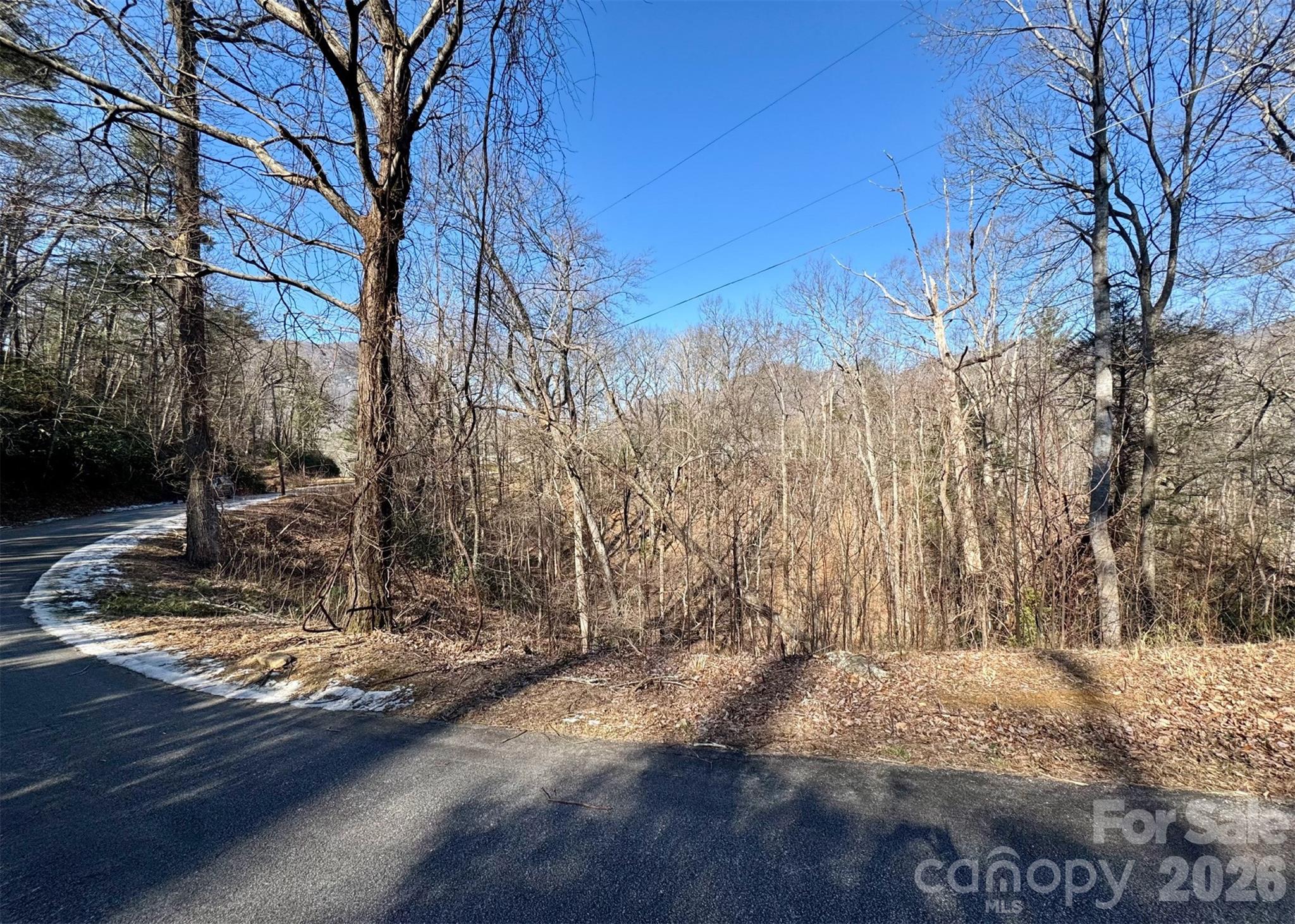 42 Asa Gray Drive Lake Lure NC 28720