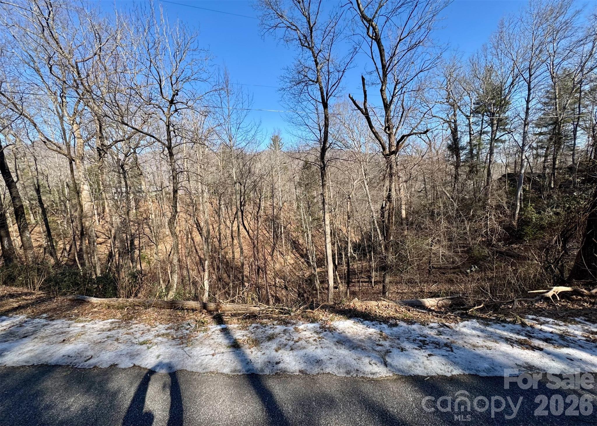 42 Asa Gray Drive Lake Lure NC 28720