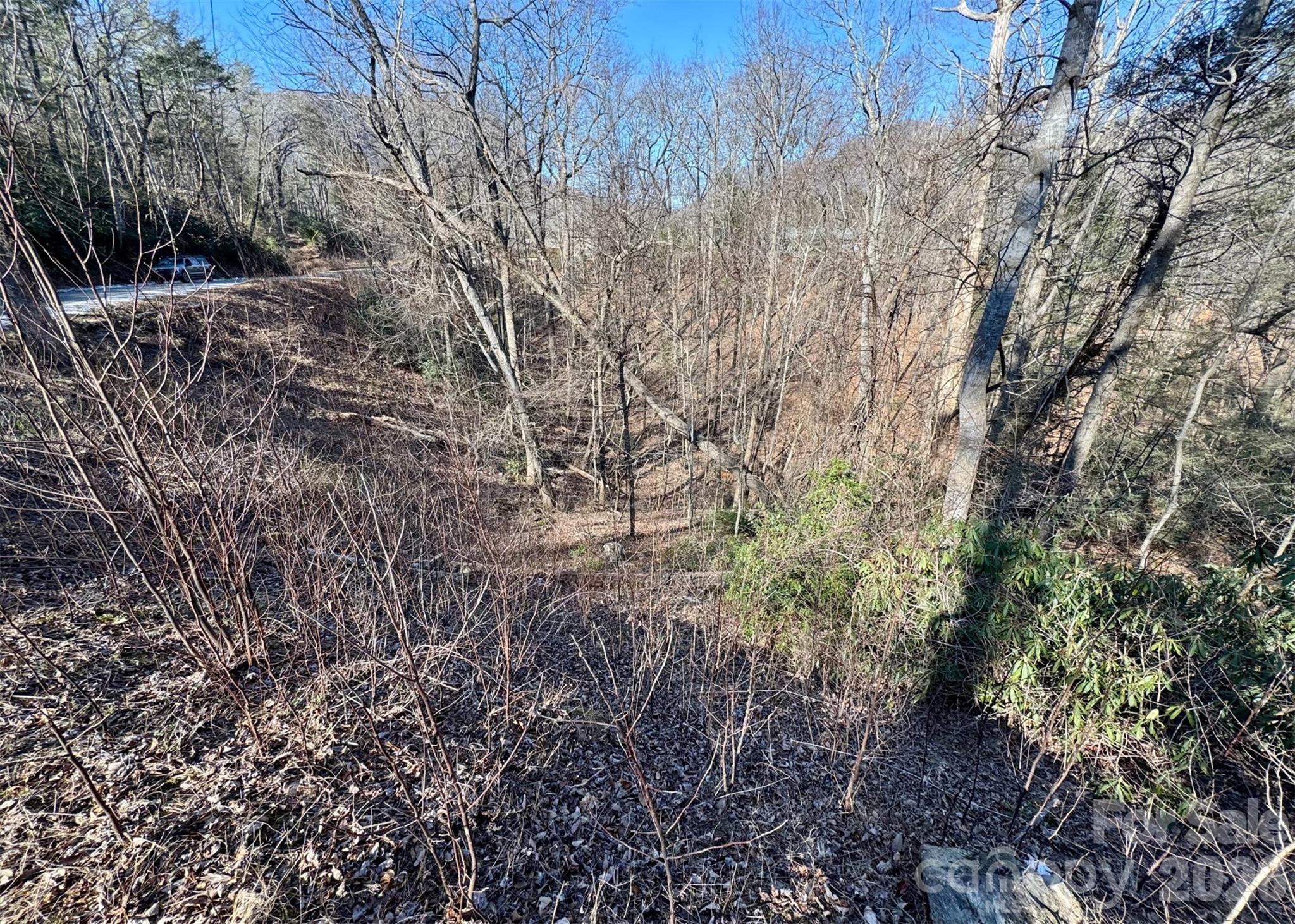 42 Asa Gray Drive Lake Lure NC 28720