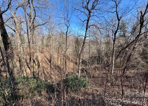 42 Asa Gray Drive Lake Lure NC 28720