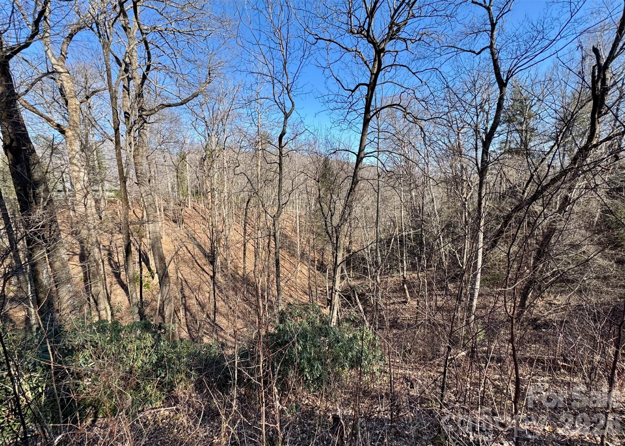 42 Asa Gray Drive Lake Lure NC 28720