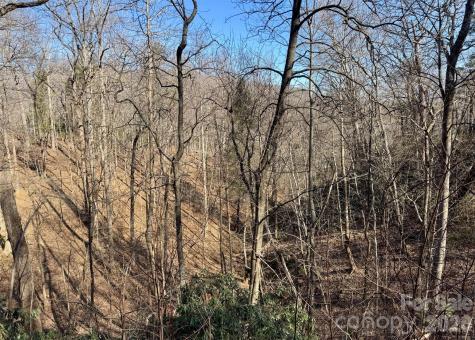 42 Asa Gray Drive Lake Lure NC 28720