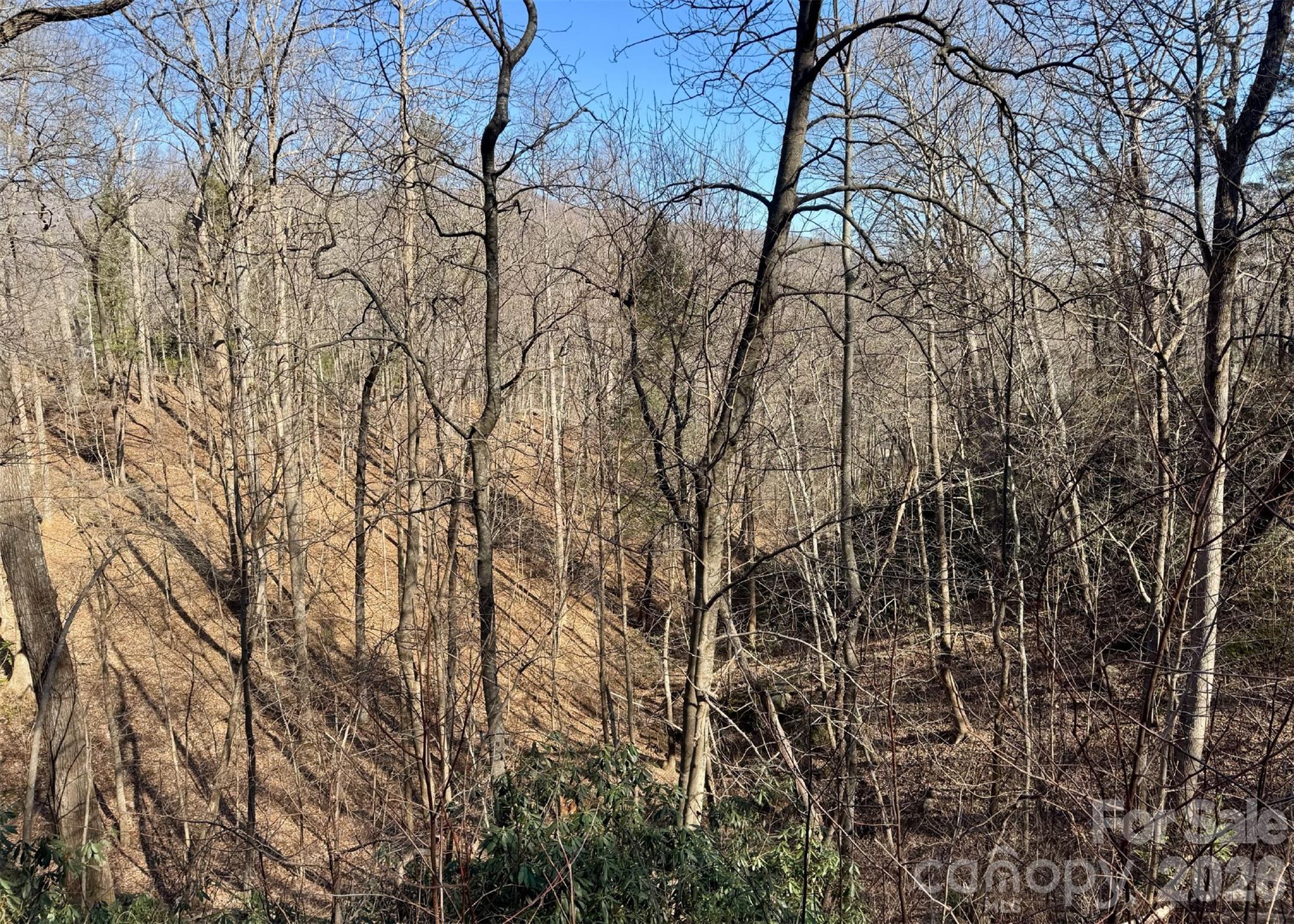 42 Asa Gray Drive Lake Lure NC 28720