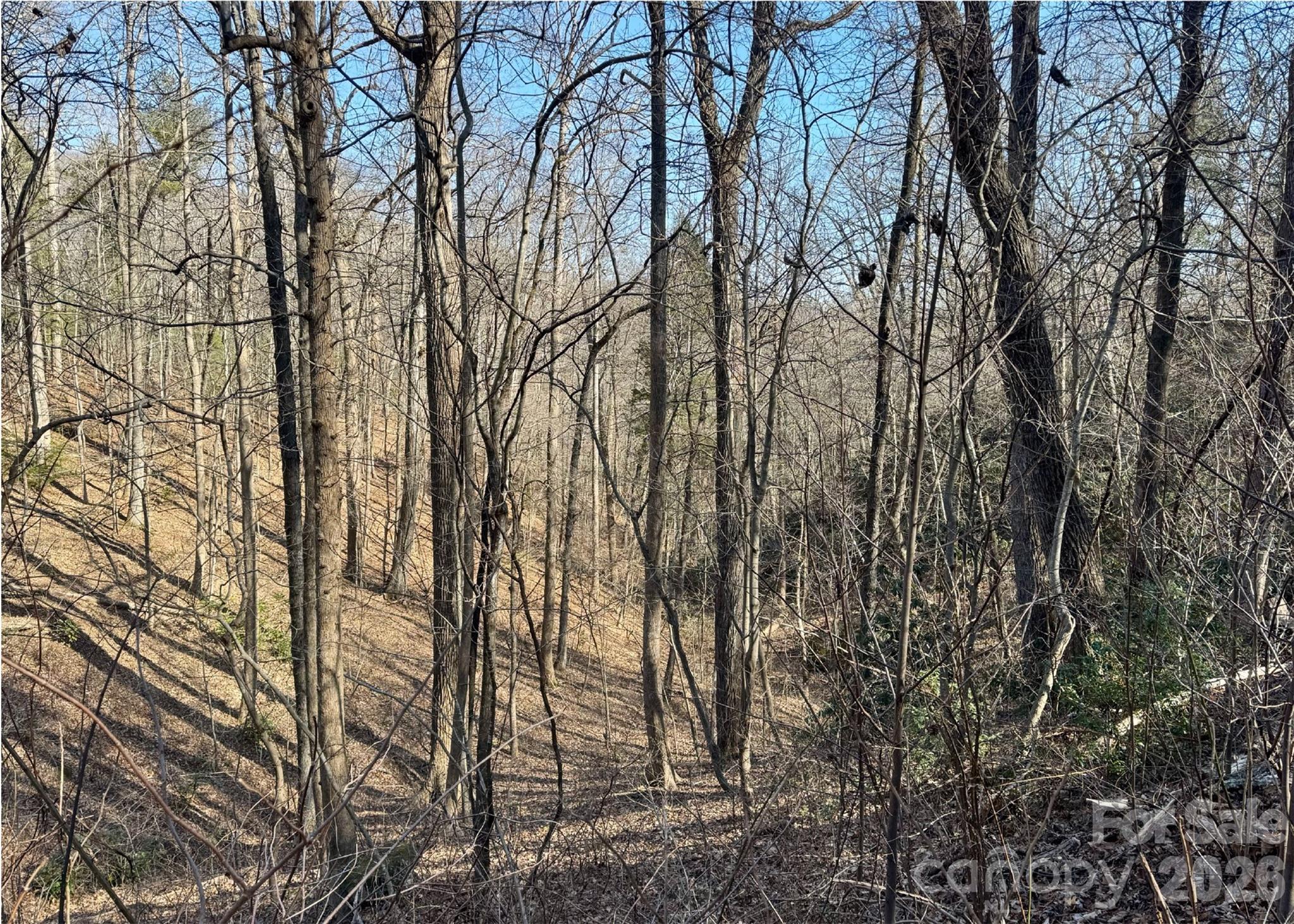 42 Asa Gray Drive Lake Lure NC 28720