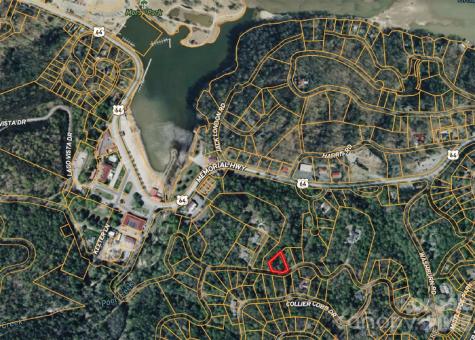 42 Asa Gray Drive Lake Lure NC 28720