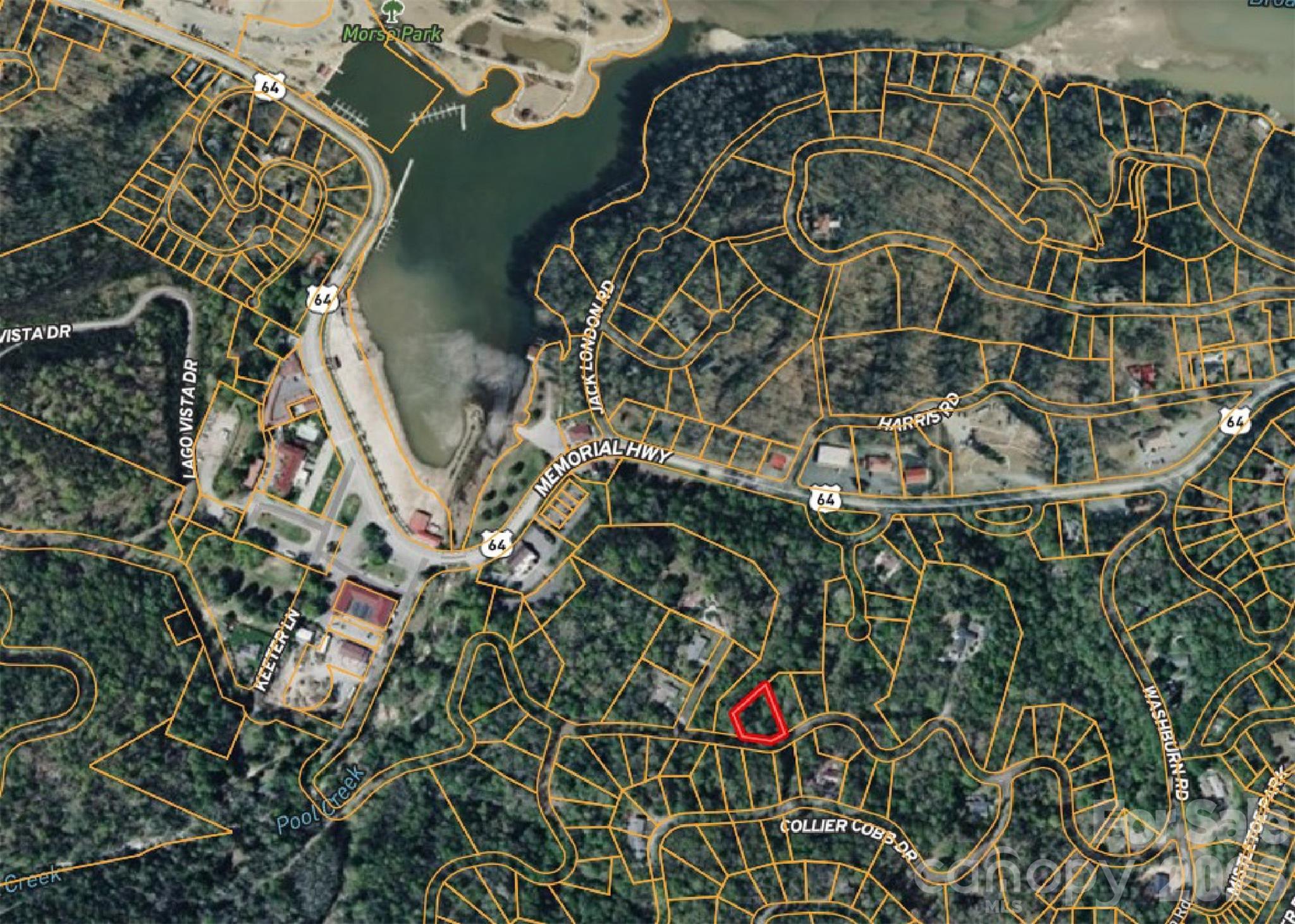 42 Asa Gray Drive Lake Lure NC 28720