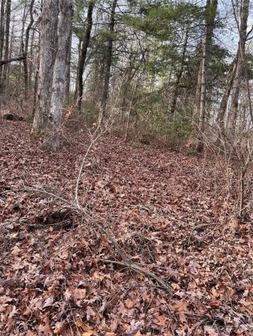 0 Wilmont Drive Hendersonville NC 28792