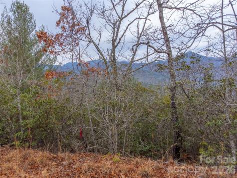 9999 Lower Burningtown Road Franklin NC 28734