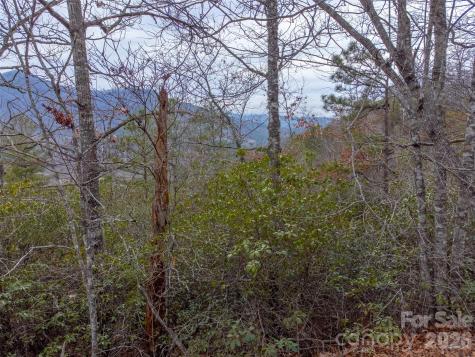 9999 Lower Burningtown Road Franklin NC 28734
