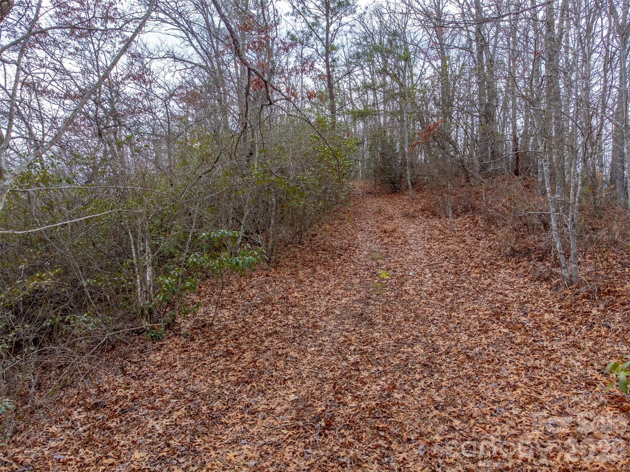 9999 Lower Burningtown Road Franklin NC 28734